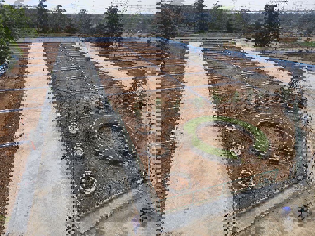 Plot For Sale in Kaggalipura