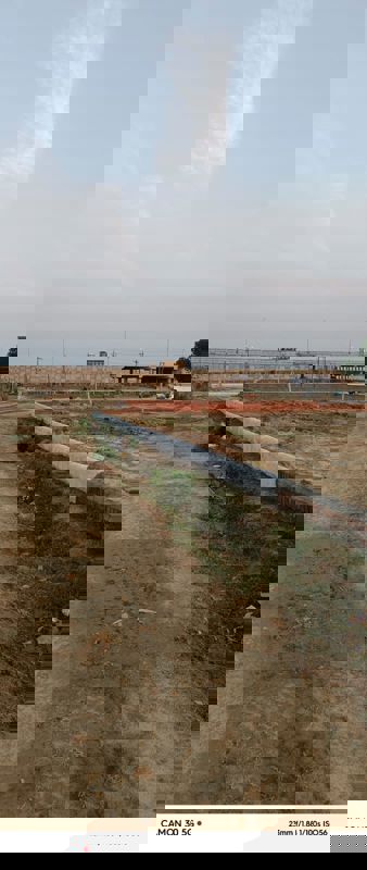 Plot For Sale in Sultanpur Road