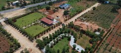 Plot For Sale in Jigani