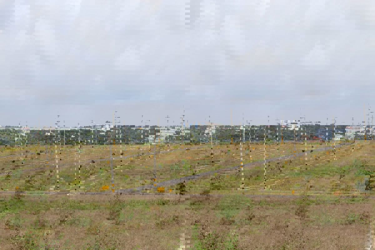 Plot For Sale in Hoskote