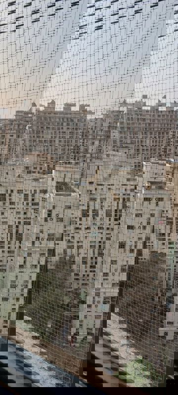 4 BHK + Pooja Room 2165 Sq.Ft. Apartment in Hiranandani Estate Evelina