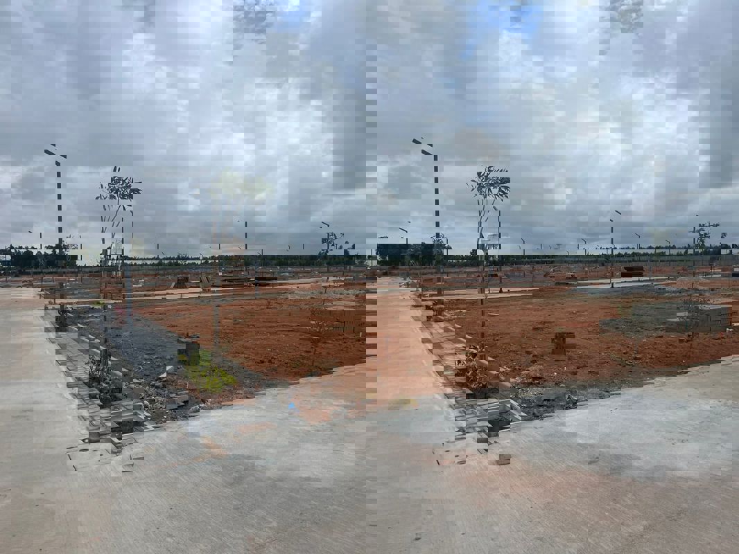 Plot For Sale in Hoskote