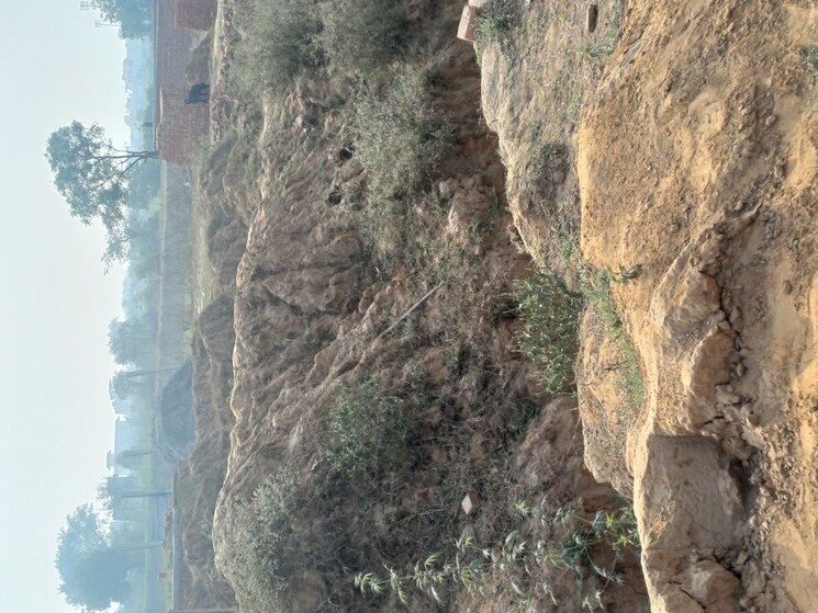 undefined, nacholi  70 Sq.Yd. Plot In Nacholi Faridabad 9764218