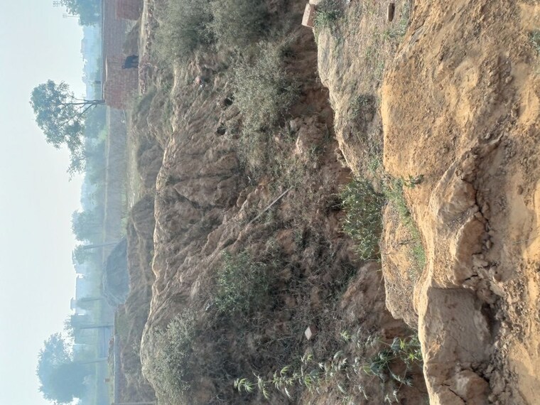 undefined, nacholi  70 Sq.Yd. Plot In Nacholi Faridabad 9764218