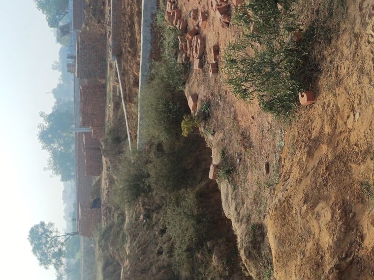 Garden, nacholi  75 Sq.Yd. Plot In Nacholi Faridabad 9764311