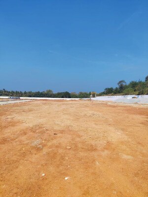 Plot Area in  Plot at Nelamangala – for Sale