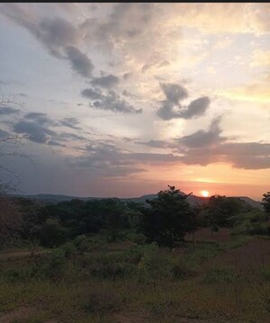 Plot Area in  Plot at Gauribidanur – for Sale