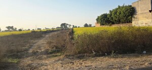 Plot Area in  Land at Jewar – for Sale