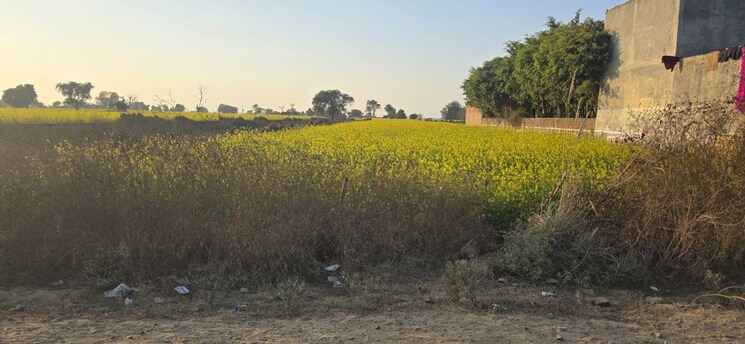 undefined, jewar Commercial Land 6137 Sq.Ft. In Jewar Greater Noida 9764737