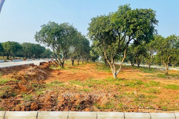 Plot For Sale in Arising Peacock Valley