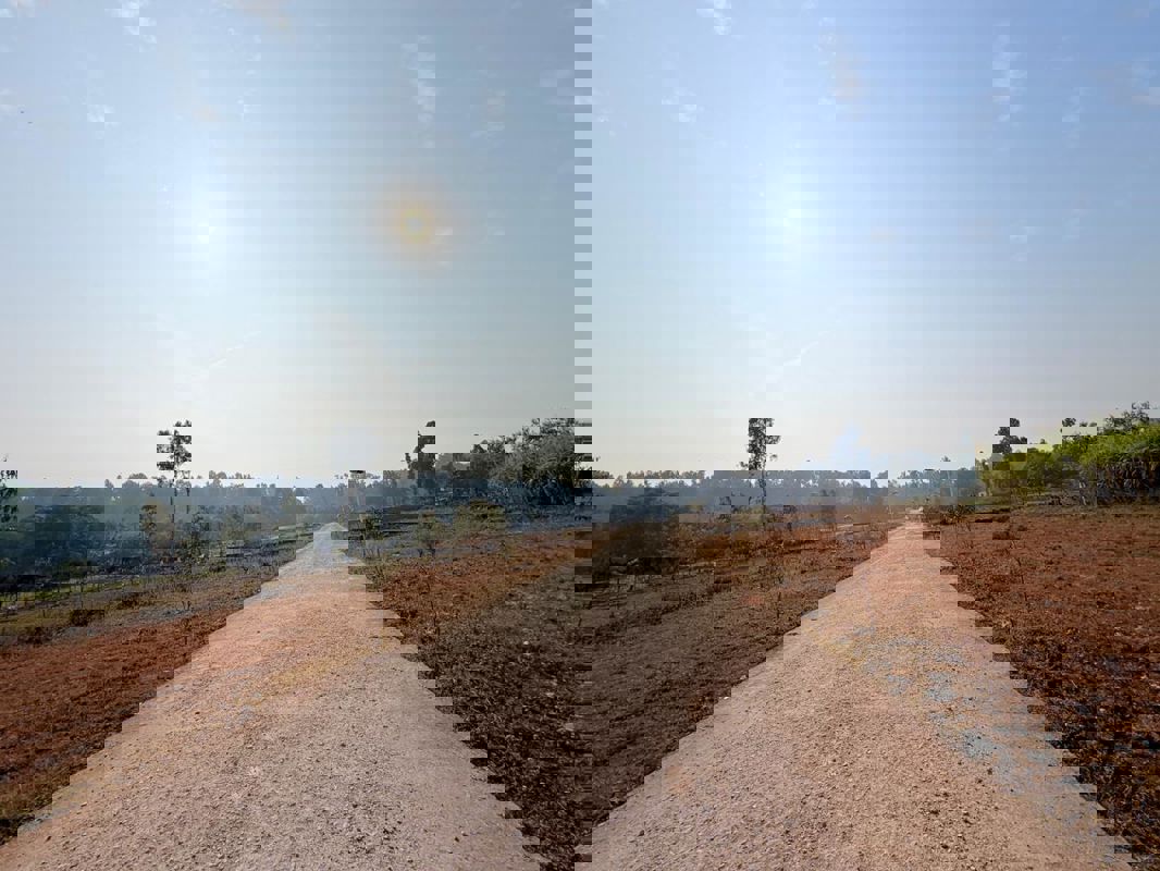 Plot For Sale in Badripur