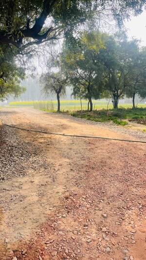 Plot Area in  Plot at Dhankot – for Sale