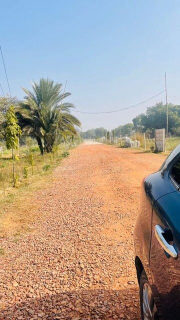 Plot Area in  Plot at Dhankot – for Sale