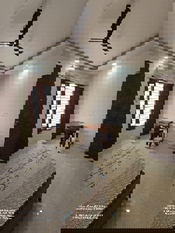 4 BHK Builder Floor For Rent in Ardee City