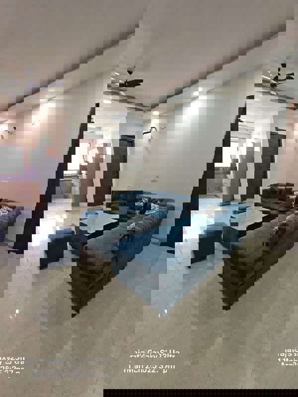 4 BHK Apartment For Rent in Ardee City