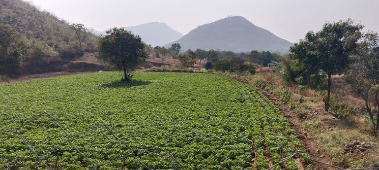 Garden, ghoti  8 Acre Plot In Ghoti Nashik 9765411