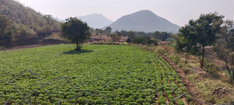 Garden, ghoti  8 Acre Plot In Ghoti Nashik 9765411