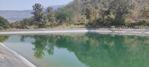  Plot For Sale in Ghoti