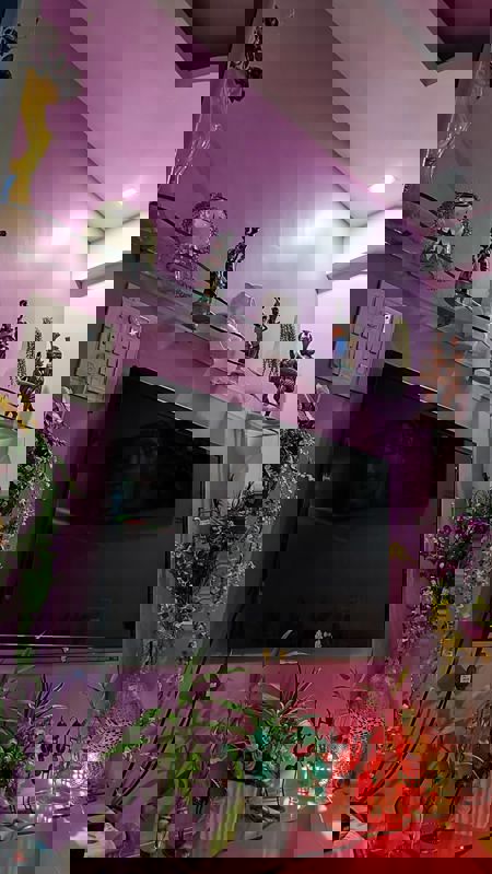 Pg For Rent in Vibhuti Khand