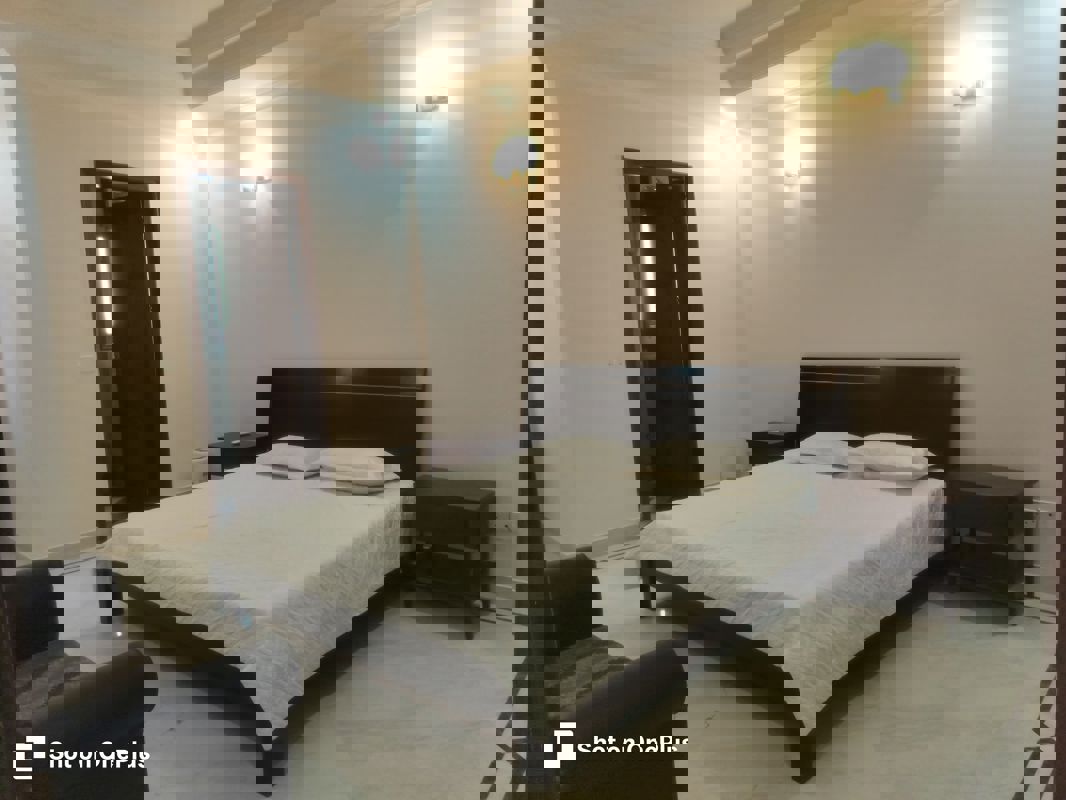 3 BHK + Servant Room Builder Floor For Rent in Vasant Vihar