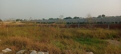 Plot For Sale in Sector 75