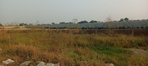  Plot For Sale in Sector 75