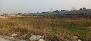 Plot Area in  Plot at Sector 75 – for Sale