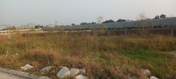 Plot Area in  Plot at Sector 75 – for Sale