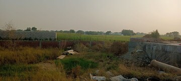 Plot Area in  Plot at Sector 75 – for Sale