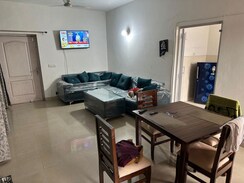 2 BHK Apartment For Rent in Ansal Paradise Crystal