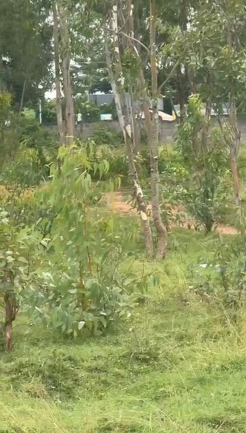  Plot – Garden View at VRR Fortuna, Sarjapur Road - for Sale