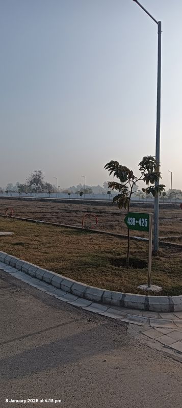 Plot For Sale in Panchkula Urban Estate