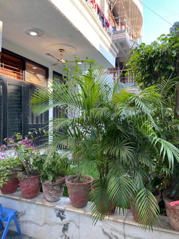 Exterior View, rwa-apartments-sector-50 6+ Bedroom 5000 Sq.Ft. Independent House In Sector 50 Noida 9766154