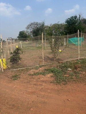 Plot Area in  Plot at Tadepalli – for Sale