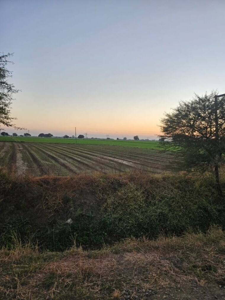 undefined, paliya Commercial Land 15000 Sq.Ft. In Paliya Indore 9766236