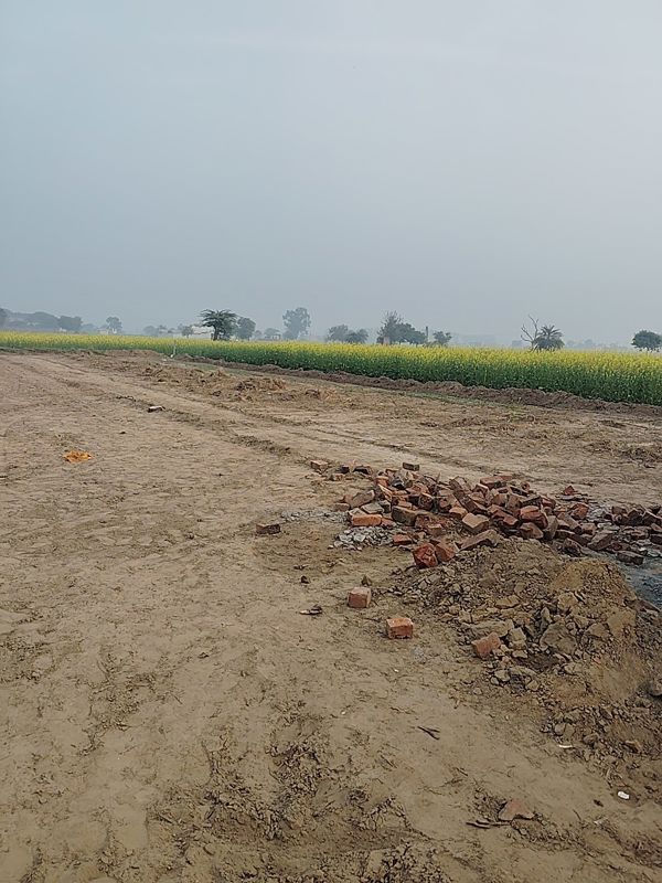 Plot For Sale in Sohna