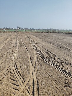 Plot For Sale in Sohna