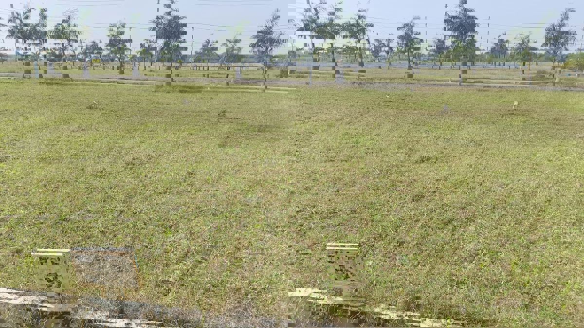 Plot For Sale in Kolar