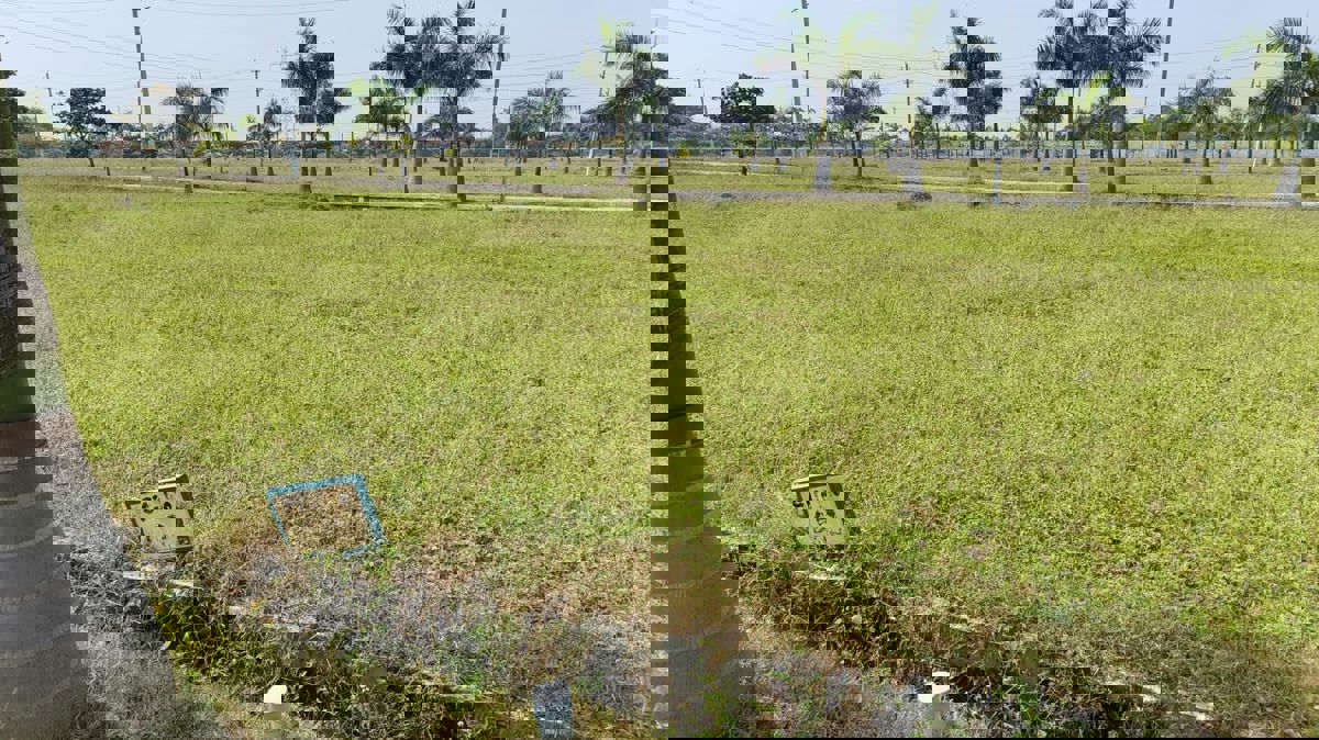 Plot For Sale in Ramohalli