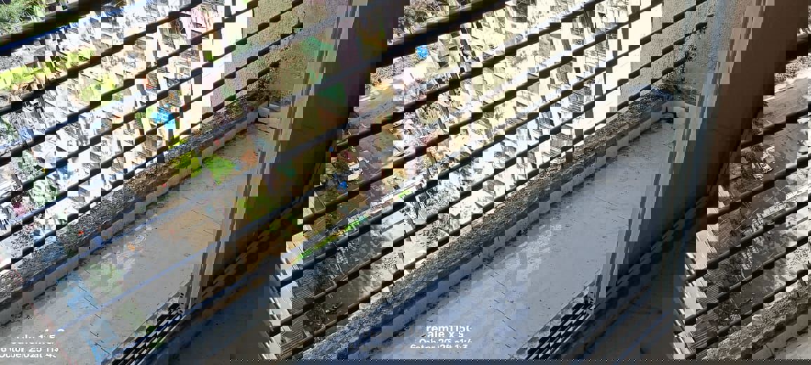 1 BHK 555 Sq.Ft. Apartment in Rashmi Star City