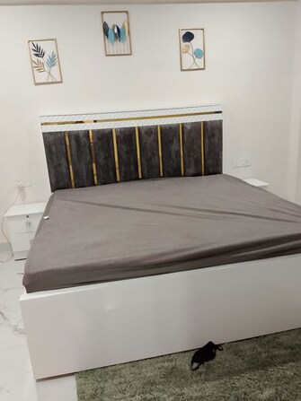 3 BHK 215 Sq.Ft. Builder Floor in Ansal Sushant Apartments