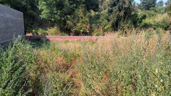 Plot For Sale in Pinjore