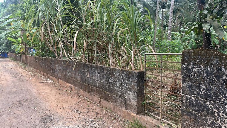 undefined, viyyur  5662 Sq.Ft. Plot In Viyyur Thrissur 9766888