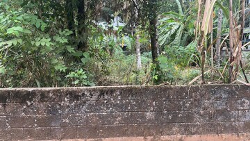 Plot Area in  Plot at Viyyur – for Sale