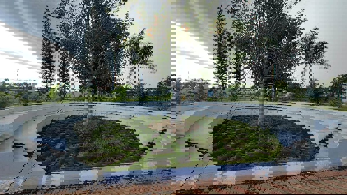 Plot For Sale in Dodda Aalada Mara Road