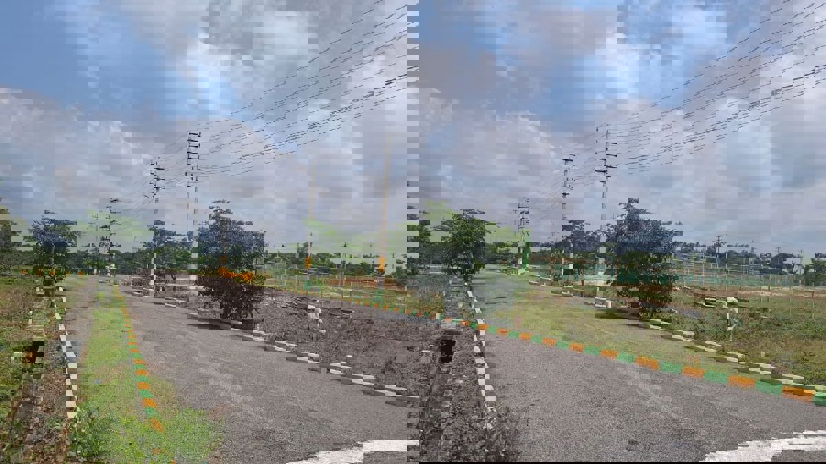 Plot For Sale in Dodda Aalada Mara Road