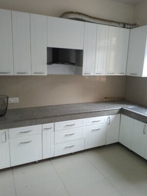 Kitchen in 3 BHK Builder Floor at Emaar MGF Emerald Hills, Sector 65 – for Rent