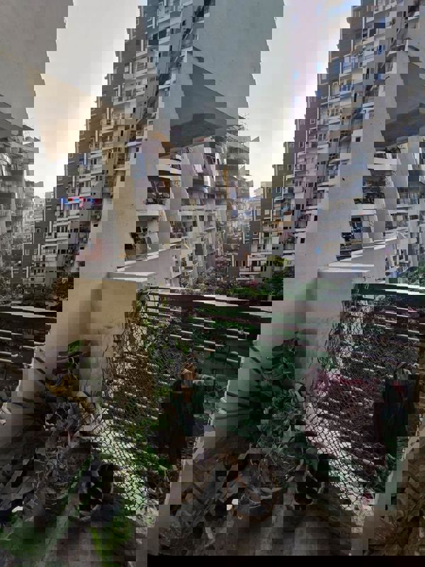 3 BHK 1894 Sq.Ft. Apartment in Niho Marvel Scottish Garden