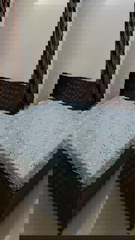 2 BHK Apartment For Rent in ROF Aalayas