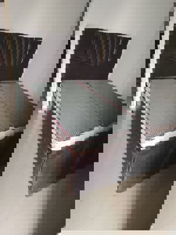 1 BHK Apartment For Rent in ROF Aalayas